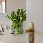 Kleine Perle كامبن